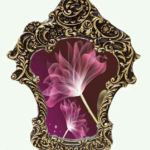 آتلیه و عمارت آتلیه و عمارت